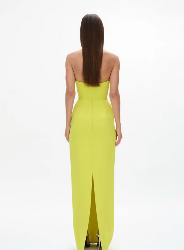 Rachel Gilbert Maria Gown Dress Yellow Size 12 - 12 / Yellow - Dresses