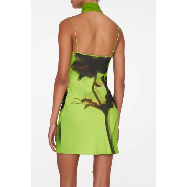 Orisha-mini-back