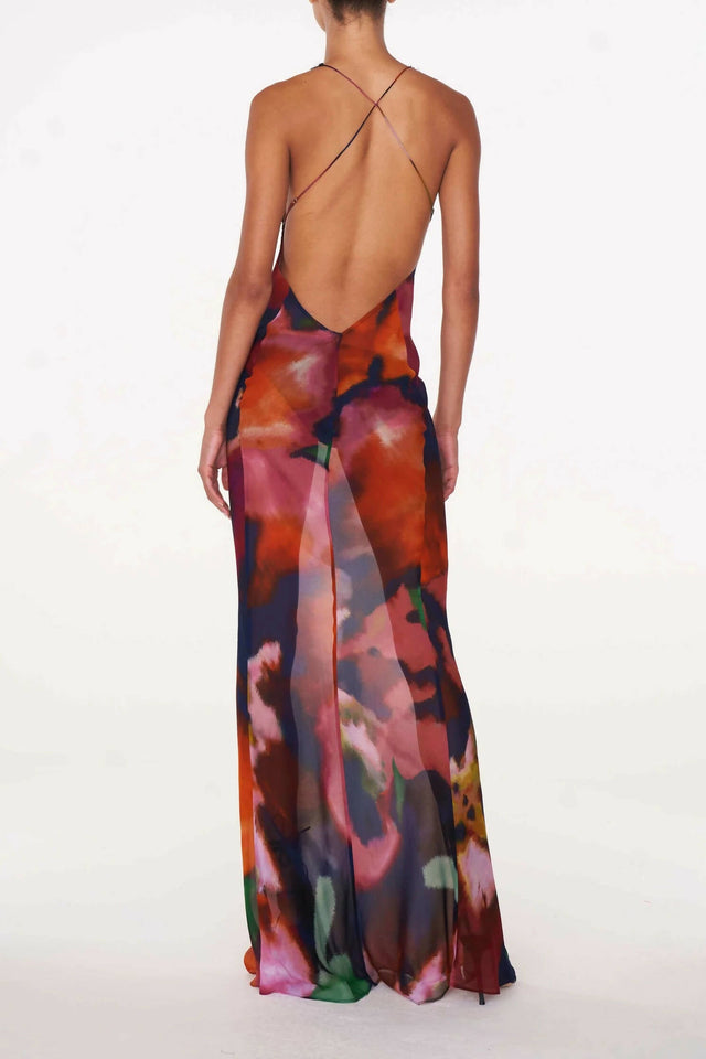 Rat & Boa Paola Floral Slip Maxi Dress - Dresses