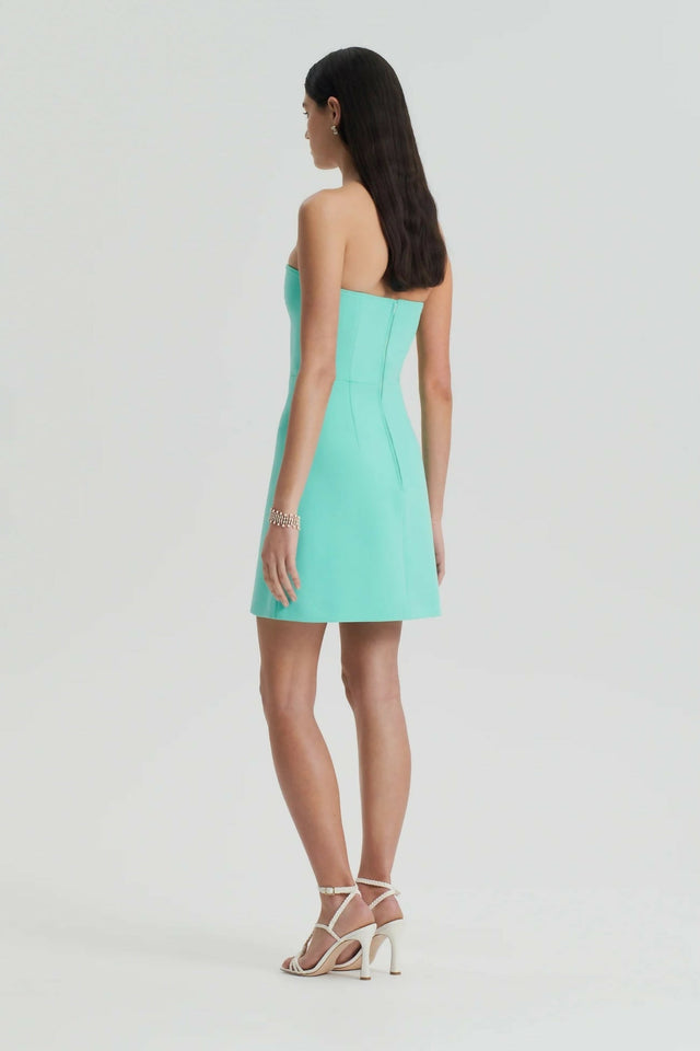TAILOREDBUSTIERDRESS4