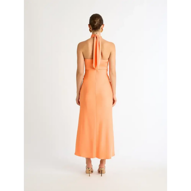 Sheike Jasmine Midi Dress in Apricot - 8 / Orange - Dresses