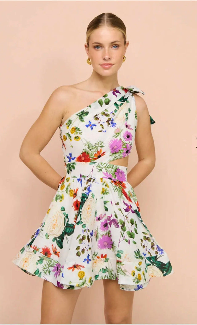 Sofia The Label Birdie One Shoulder Mini Dress In Enchanted Floral Size 6 8 - Dresses