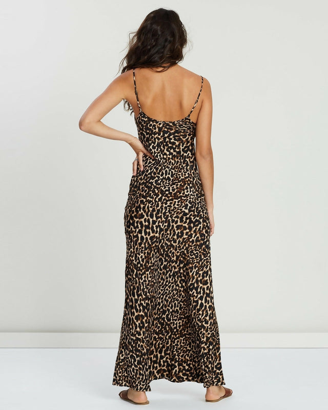 tigerlily-3196-329328-3