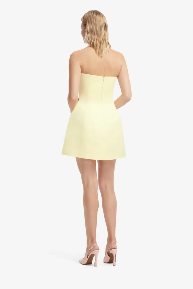 Leo Lin Roselle Appliqué Bustier Mini Dress - Agapanthus Print