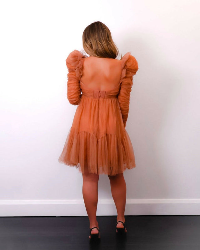 ZimmermannTulleRuchedMiniinLipstickDesignerDressBack