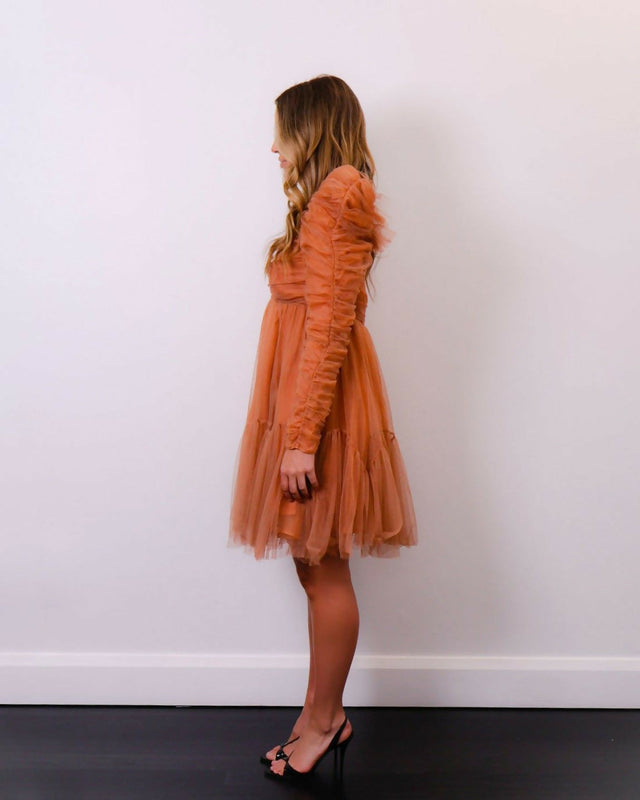 ZimmermannTulleRuchedMiniinLipstickDesignerDressSicdeView