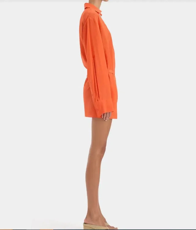 Sir Fresca Mini Dress in Burnt Red