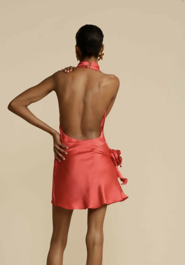 Arcina Ori Rosa Mini Dress