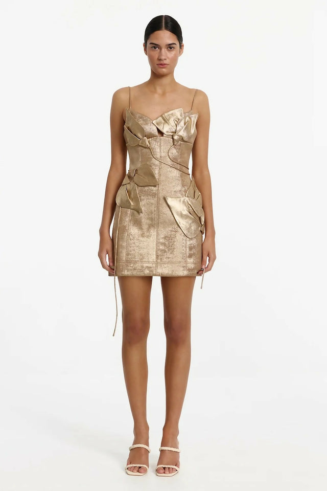 Acler Hillsome Mini Dress