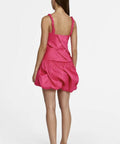 Maxey Mini Dress - Dress