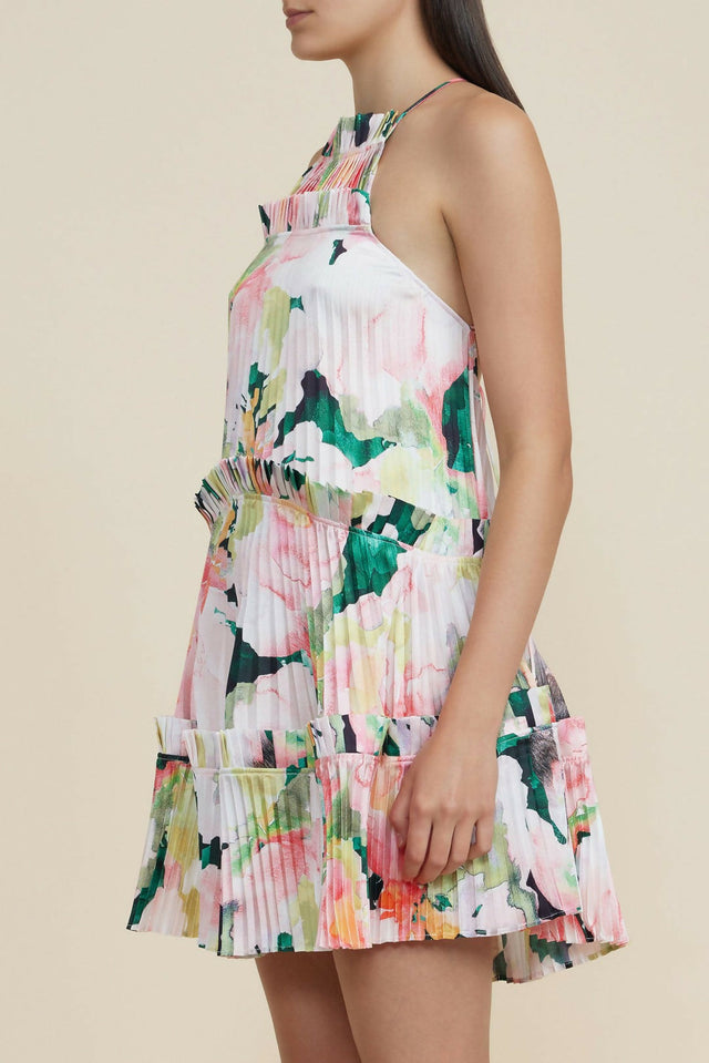 AS2310167D-PRT-ORMOND-MINI-DRESS-DAPHNE-POSY-2jpg_1080x