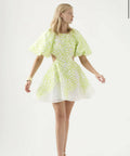 Aje Appliqué Botanical Mini Dress - 6 / Multi - Dresses