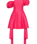 AristaTulipSleeveMiniDress4
