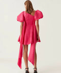 AristaTulipSleeveMiniDress3