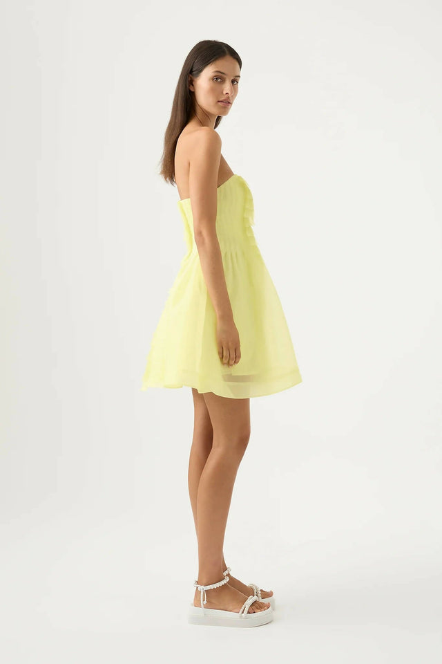 Aje Astrid Strapless Mini Dress - Dresses