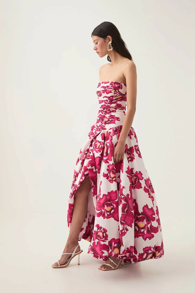 Aje Behold Maxi Dress - 6 / Print - Dresses