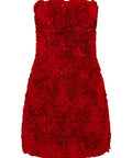 AJE - Aje Gazer Rosette Dress