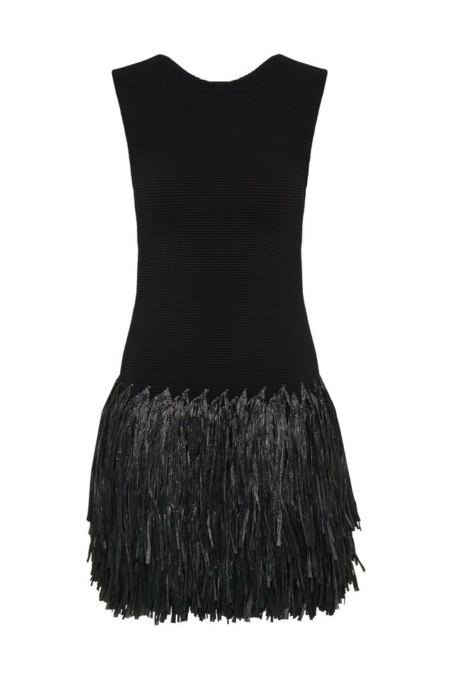 Aje Rushes Raffia Knit Mini Dress in Black | Passion For Fashion