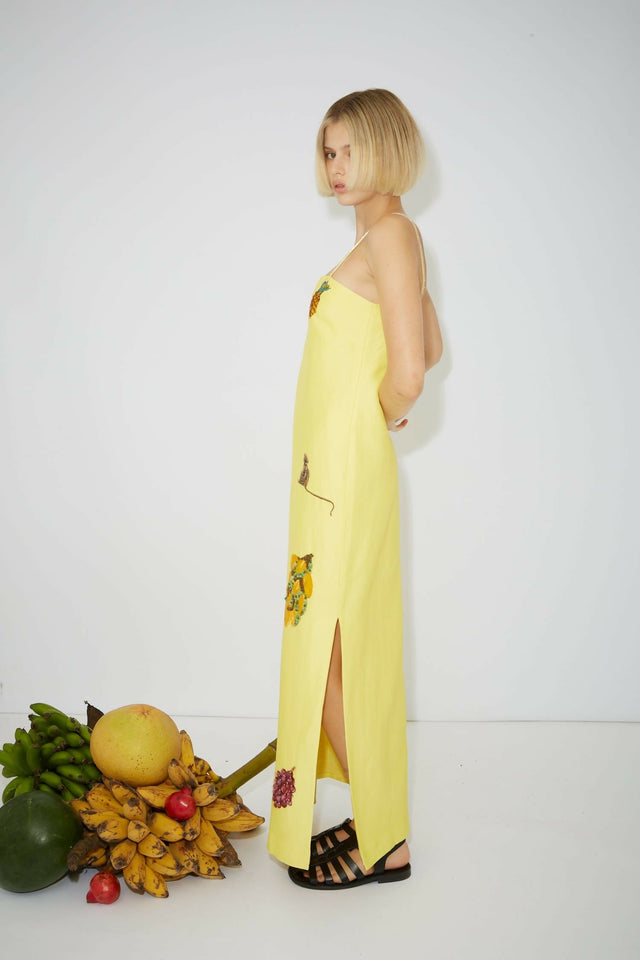 alemais-sustainable-dress-midi-diamond-dancer-midi-dress-42543678062809_2160x