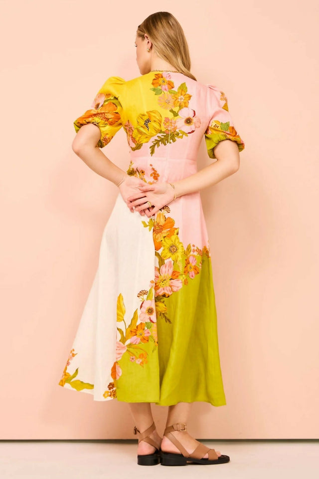 AlemaisSilasMidiDressInMulti8