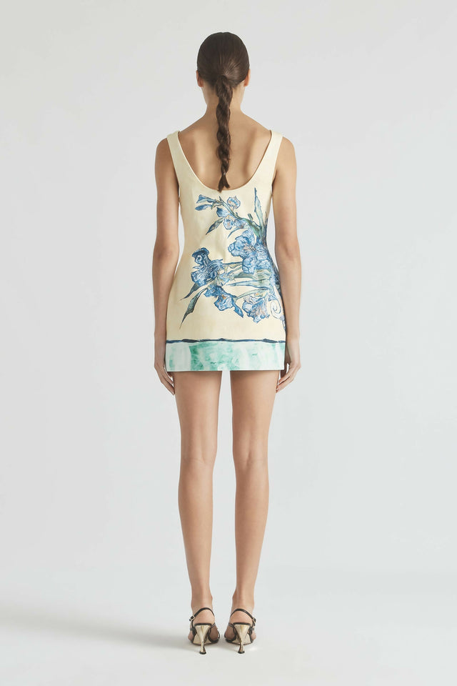 Antipodean Homecoming Lantern Mini Dress - 12 / Print - Dresses