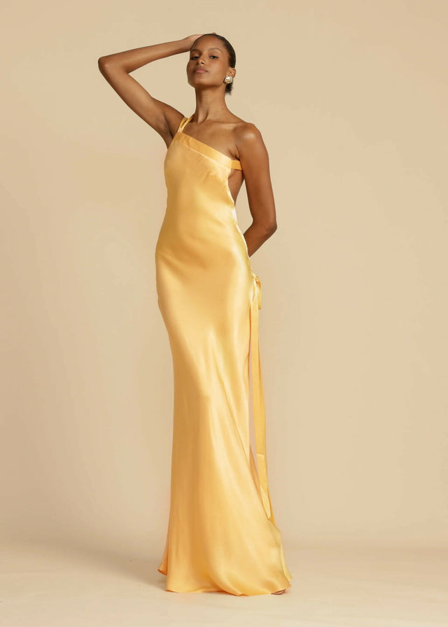 Arcina Ori Monique Maxi Gown - Dresses