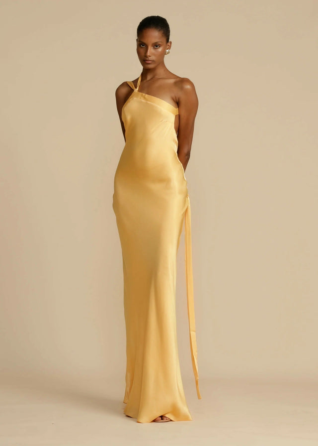 Arcina Ori Monique Maxi Gown - Dresses