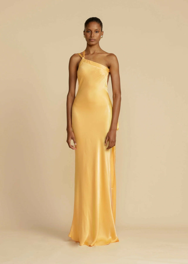 Arcina Ori Monique Maxi Gown - Dresses