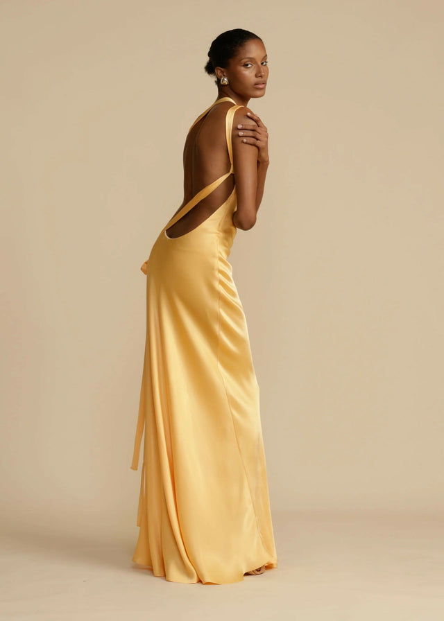 Arcina Ori Monique Maxi Gown - Dresses