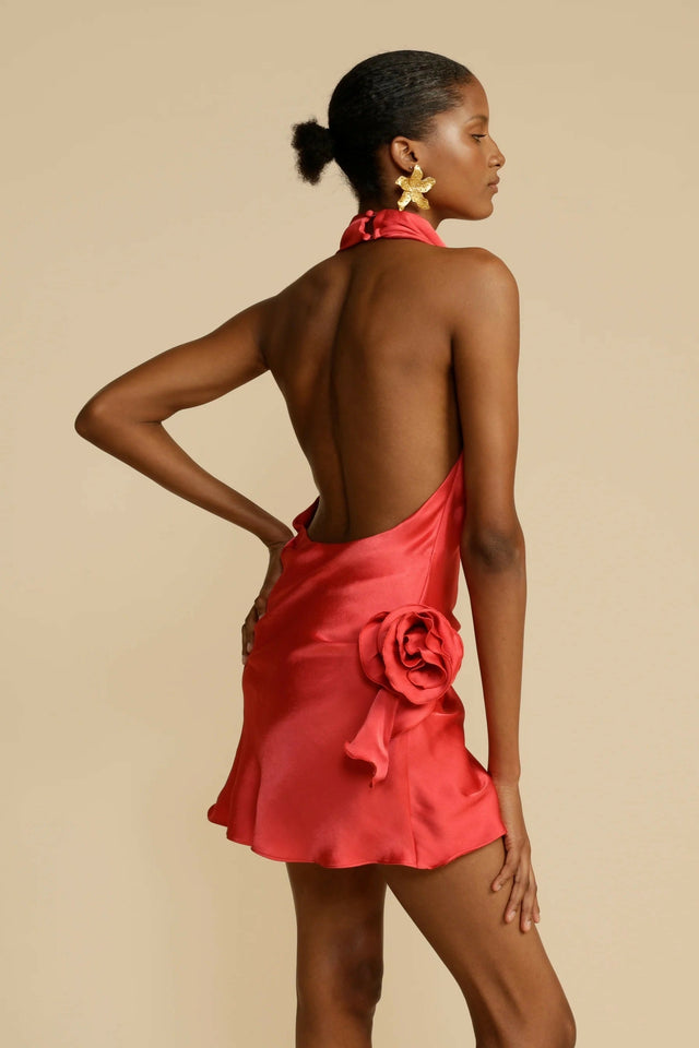 5.7-ROSA-DRESS-07