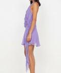Bec + Bridge Maeva Mini Dress in Grape - Dresses