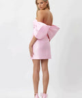 Bianca & Bridgett - Bianca & Bridgett Eden Mini Dress