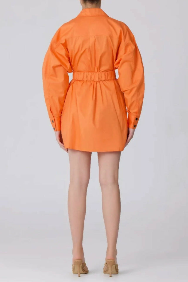 C/MEO Collective Function Dress in Papaya - 8 / Orange - Dresses