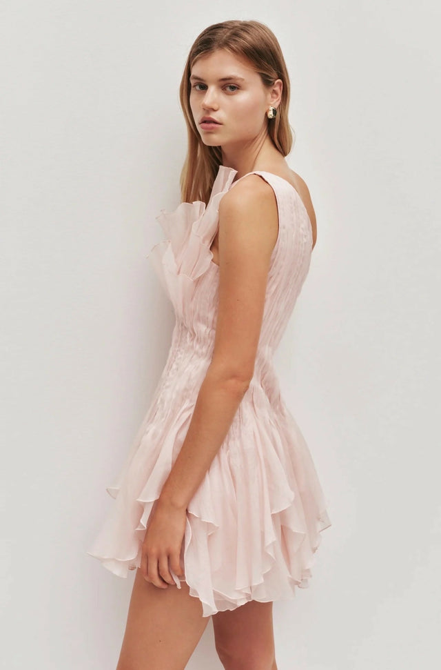 Aje Nisha Mini Dress