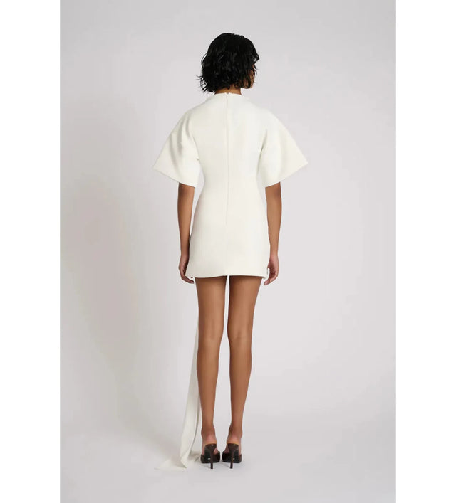 Eliya the Label Maxine Mini Dress Size 10