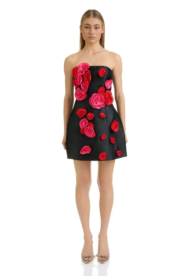 ErynDressFront