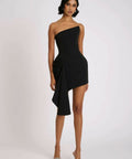 imgi_160_NellieDressBlackPose
