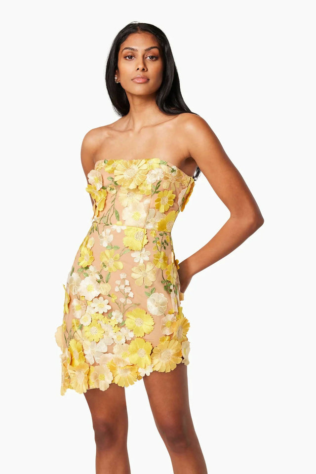 Elliatt New Age Dress - Dresses