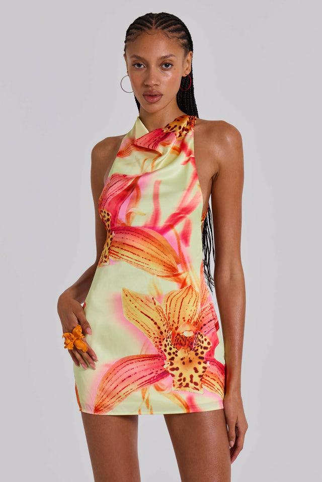 knee length dresses for ladies Jaded London Lucia Backless Mini Dress