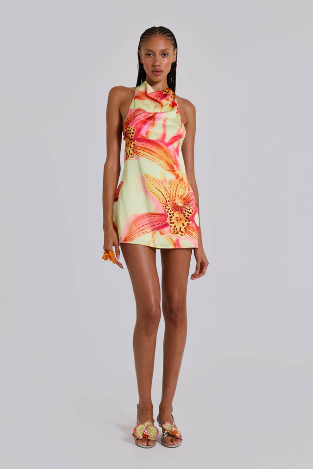 Jaded London Lucia Backless Mini Dress