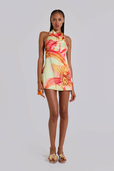 jaded london mini fatale dress Jaded London Lucia Backless Mini Dress