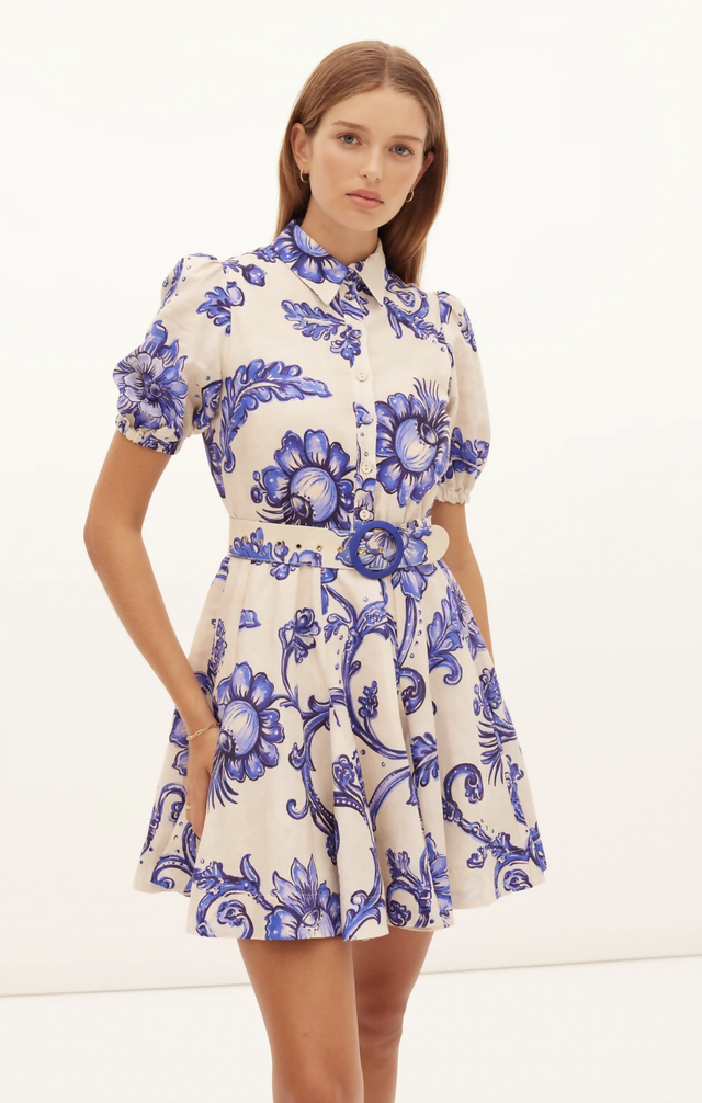 KateFordBartleyGodetShirtDress