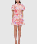 LeoLinBrookeShirtSleeveMiniDress-SwallowPrintinLush3