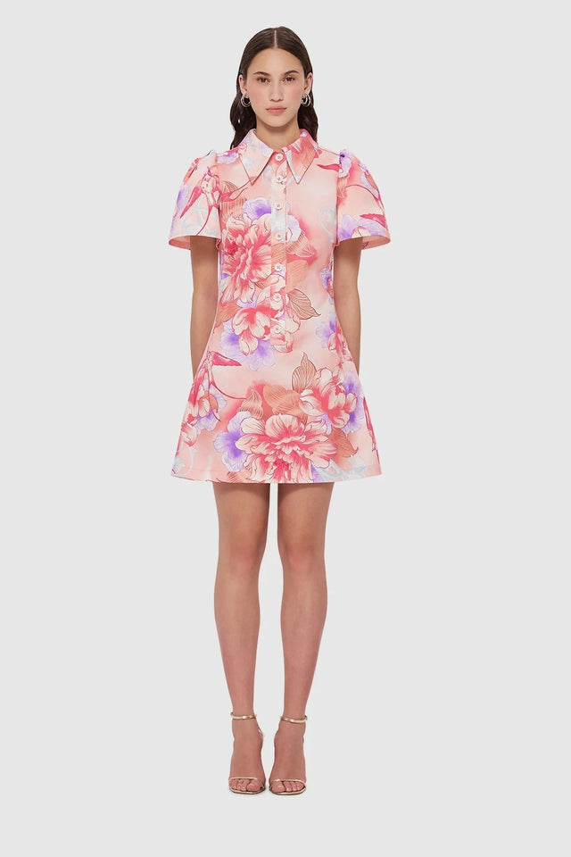 LeoLinBrookeShirtSleeveMiniDress-SwallowPrintinLush3