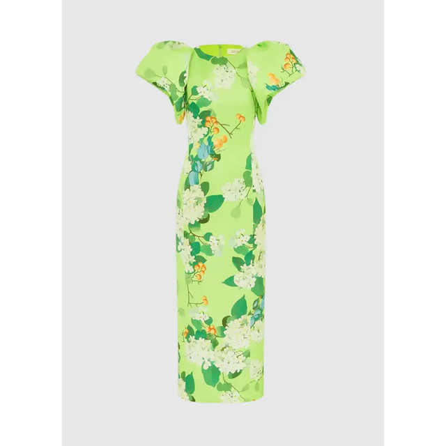 LLSS25017_Lucinda-Maxi-Dress_Hydrangea-in-Lime_2_7fe5bf46-5209-4f4a-b955-7752e5cb9153