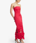 imgi_46_LLFW250171-Rayna-Applique-Bustier-Maxi-Dress-Rosa_2