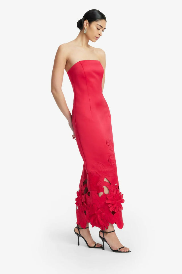 imgi_46_LLFW250171-Rayna-Applique-Bustier-Maxi-Dress-Rosa_2