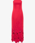imgi_48_LLFW250171_RaynaAppliqueBustierMaxiDress