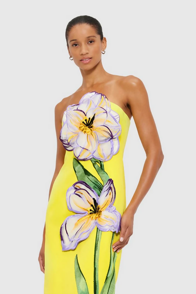 0022_LLSS250362_Rayna-Applique-Floral-Bustier-Maxi-Dress_Iris-Print_4