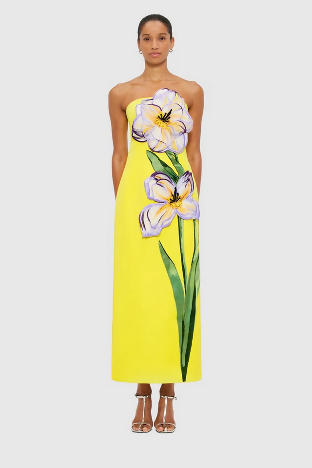 LLSS250362_Rayna-Applique-Floral-Bustier-Maxi-Dress_Iris-Print_1